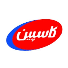 نمایندگی شرکت کاسپین